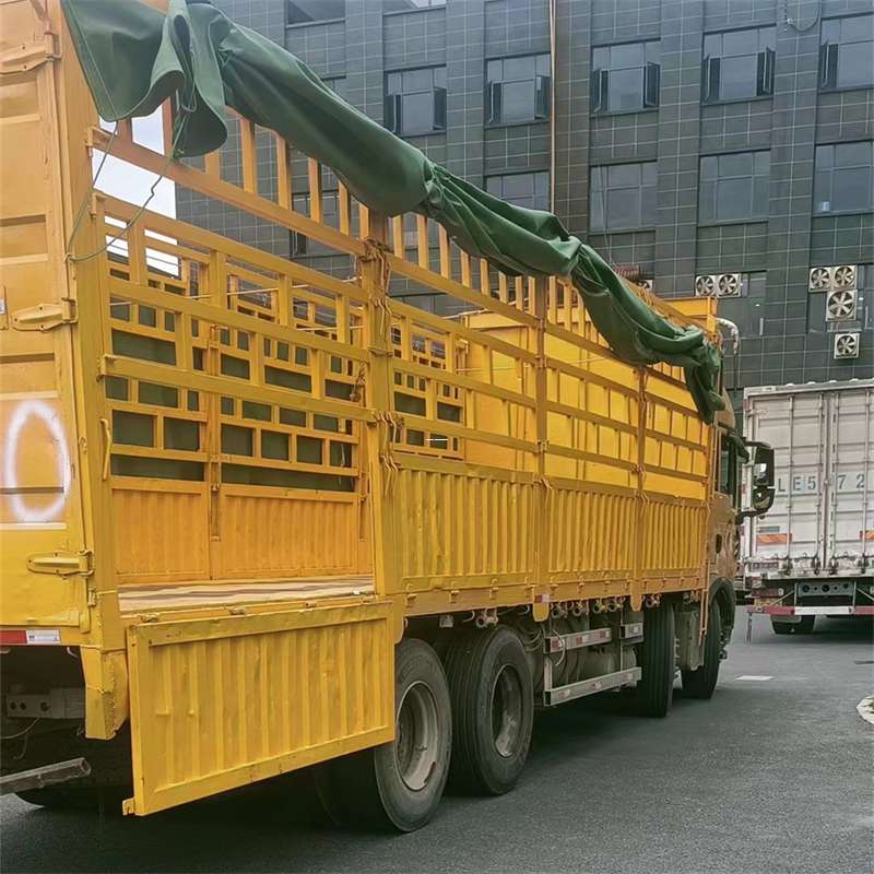 龙潭区灵璧县物流运输：多元服务与高效线路探秘