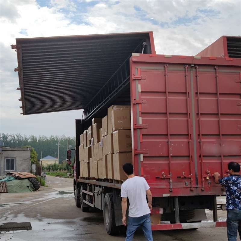 龙潭区扎囊县：物流专线的高效货运之旅